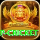 2022 world cup cricket VIP Edition v2.6.7