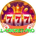 all cricket Game Legend v1.4.1