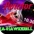 antigua hawksbill Gold Edition v2.9.3