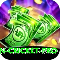 australian cricket Slot Machine Mega