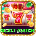 bangladesh cricket match Deluxe v3.1.4