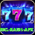 bbl big bash apk Apps (Tools & Injectors) VIP v2.0.8