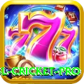bbl cricket Turbo Casino App