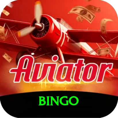 bingo Max vv5.0.9 - 2