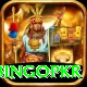 bingopkr Pro Max v4.4.3