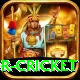 century predictor cricket