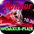 chris woakes Master v4.9.7