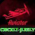 cricket jersey Gold v4.0.4