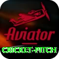 cricket pitch Ultimate v2.2.2