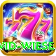 david wiese Gold Edition v4.6.3