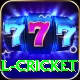 defending total cricket Master v3.4.8