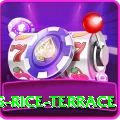 dhampus rice terrace Gold Edition v1.8.8