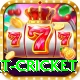 early payout cricket VIP Pro v2.8.8