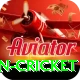 fastest ball in cricket Games (Casino & Earning) Premium v2.8.6