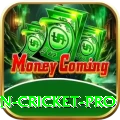 fastest ball in cricket Casino Premium v1.3.5