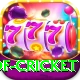 god of cricket Games (Casino & Earning) Gold v1.6.4