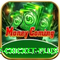 god of cricket Casino Extreme v5.4.0