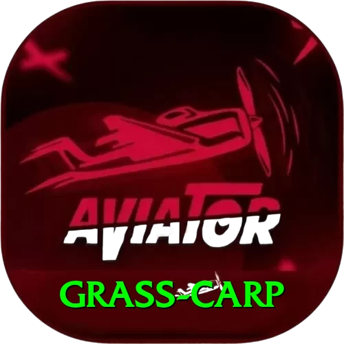 grass carp Turbo Pro v1.4.6 - 2