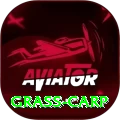 grass carp Turbo Pro v1.4.6