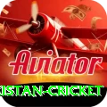 india pakistan cricket Deluxe Edition v4.6.9
