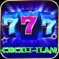 ireland cricket team Gold v3.9.2