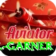 joel garner Plus v1.1.3