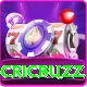 live cricket streaming cricbuzz Pro Max v4.6.5