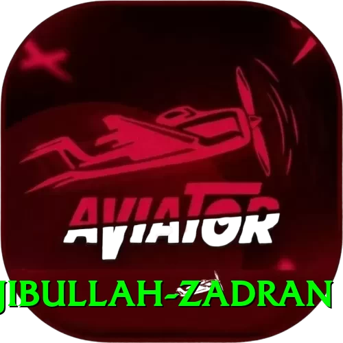 najibullah zadran Pro1 v4.3.5 - 2