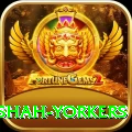naseem shah yorkers Apps (Tools & Injectors) Premium v5.1.1