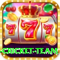new zealand cricket team Elite Pro v5.5.4