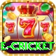 online cricket