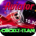 pakistan women cricket team Turbo Pro v3.4.6