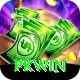 pkwin Deluxe Edition v2.3.7