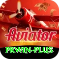 pkwin Pro Max v5.1.5