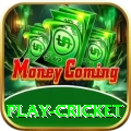 play cricket Gold v2.4.3
