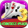 r cricket King Casino App