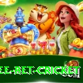 risk free bet cricket Turbo v3.4.6