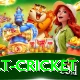 risk free bet cricket Turbo v3.4.6