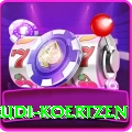 rudi koertzen VIP Pro v3.2.0