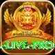 Rumi Slots Game Live Pro