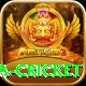 sa cricket Max Pro v2.9.0