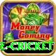 smartcric live cricket Pro