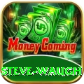 steve waugh Gold Pro v2.2.7