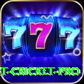 test cricket Game Plus v4.0.3