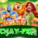 tojay Plus Edition v2.8.5