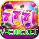 v cricket Apps (Tools & Injectors) Max v5.1.7