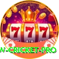willow cricket Jackpot Elite v2.7.0
