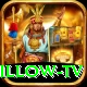 willow tv Pro Edition v3.9.0