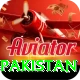 win money online pakistan Pro1 v2.7.6