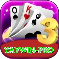 yaywin Cash Pro